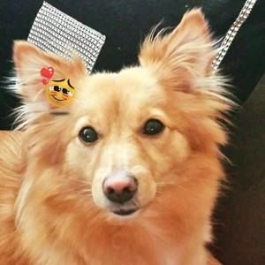 Meet your Posher, Gwen